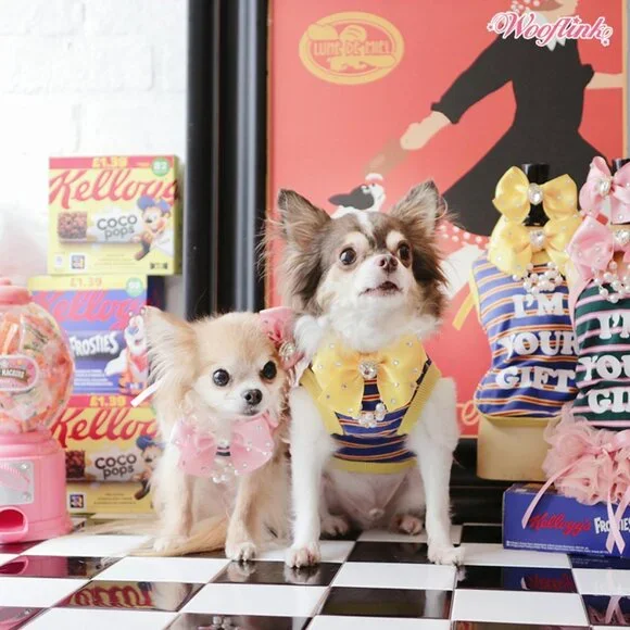 Shine Like A Diamond Necklace by Wooflink - PINK NWT - Picture 3 of 4